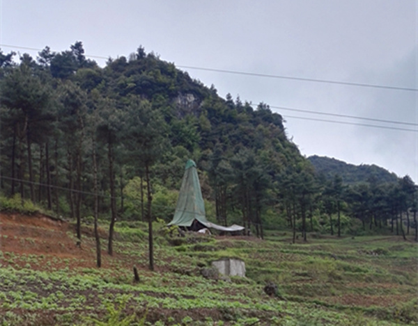 把脈“黔”鋅地，問診開良方