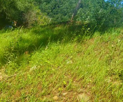 柳關(guān)欒盧鉛鋅礦|治理排土“瘡疤”，繪就綠色畫(huà)卷